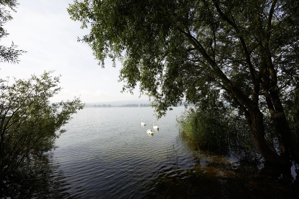 Hotel Bora Hotsparesort Radolfzell am Bodensee Luaran gambar